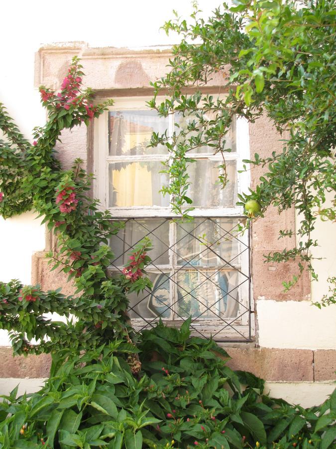 Eolos House Cunda Айвалык Экстерьер фото